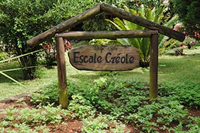 Escale créole