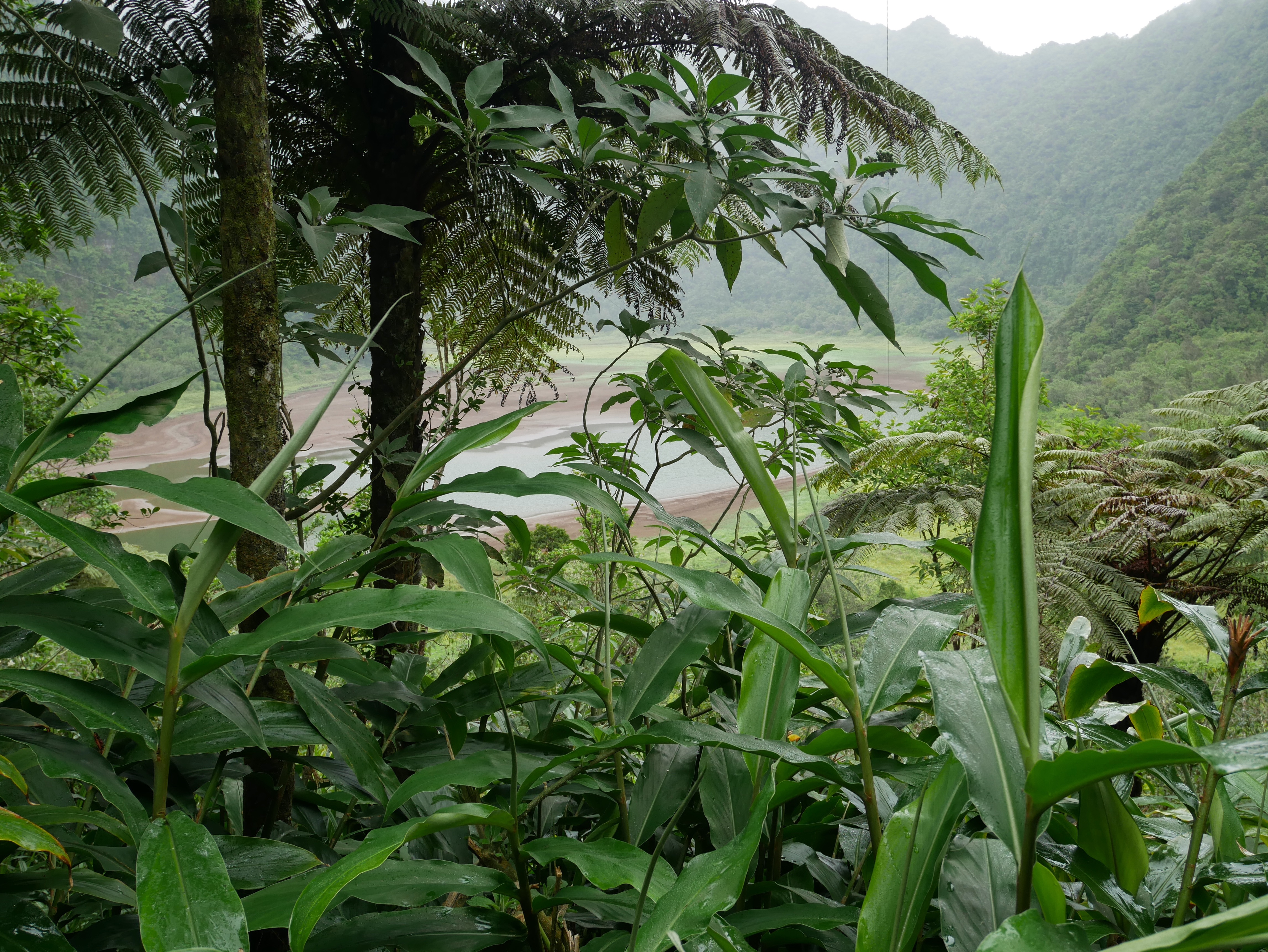 Estuaire de la rivière des Roches