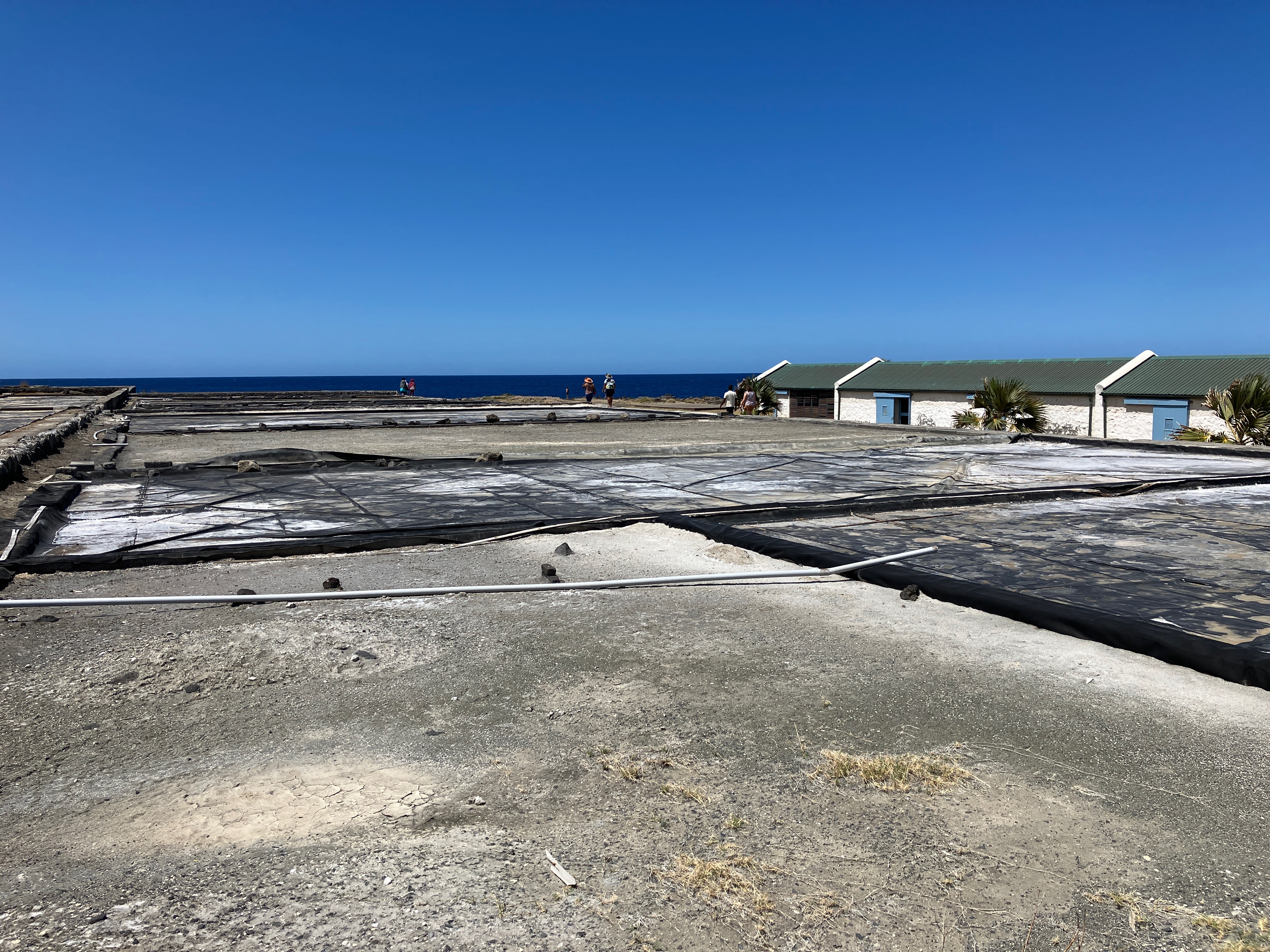 La forêt domaniale de Sainte Rose